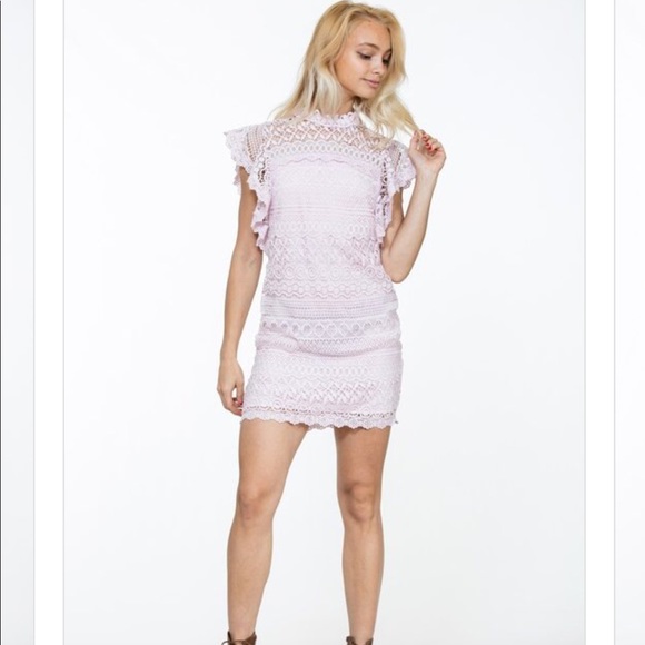 Boutique Lace Dress - Picture 7 of 8